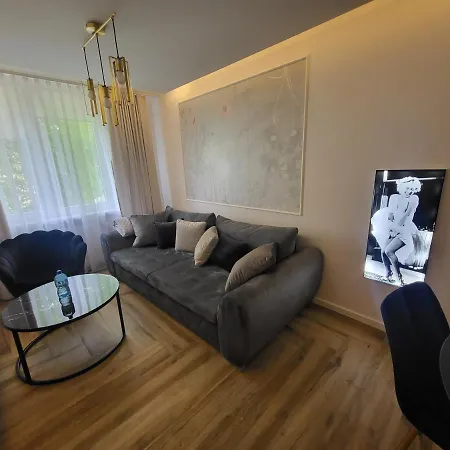 Gold Centrum Apartment Zabrze
